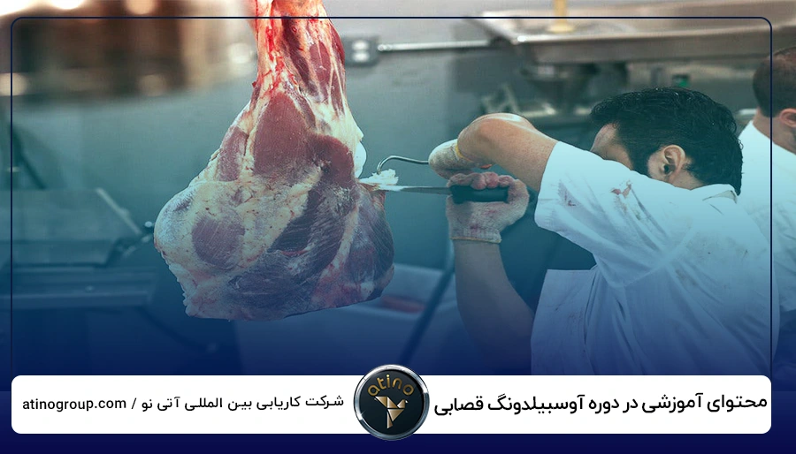 محتوای آموزشی در دوره آوسبیلدونگ قصابی